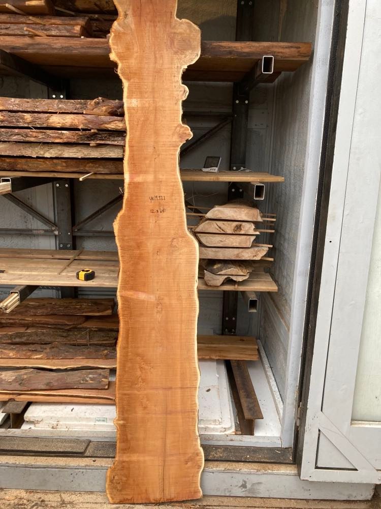 Pacific Yew